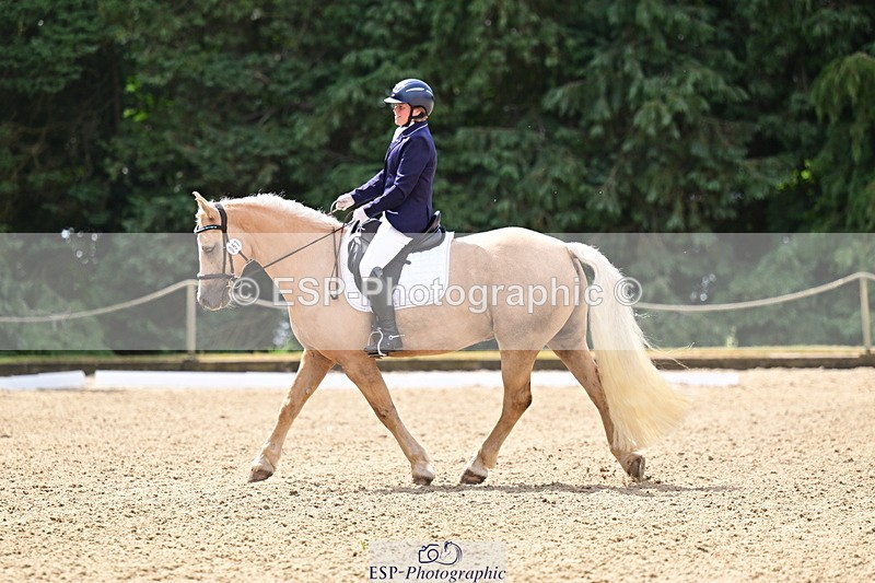 260802A-111145-05725 - Novice Silver break - break