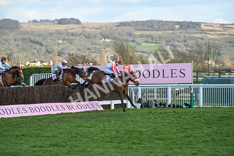 140325-The Real Whacker-WR-5635