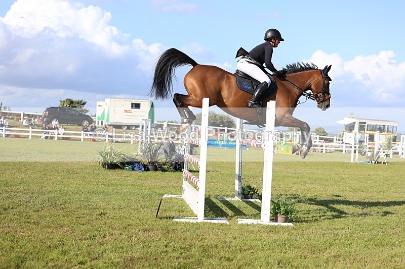 3E7A4284 - Class C: Showjumping Senior Foxhunter