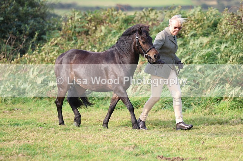 3E7A3170 - Class 12: M & M Small Breeds