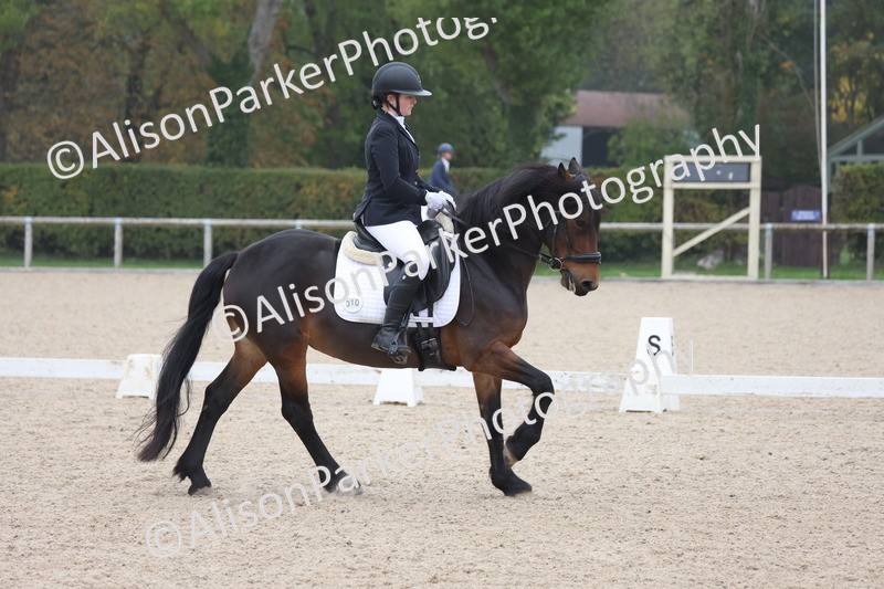 20251012-0524 - Class 4 - Novice 6