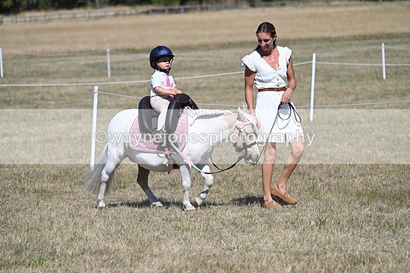 WJ7_1140 - Class 41 Prettiest Mare