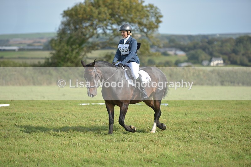 RAY_7777 - Class 2B: Trekenning Open: Dressage