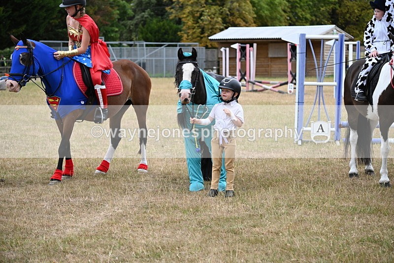 WJ6_9069 - Class 11 Fancy Dress