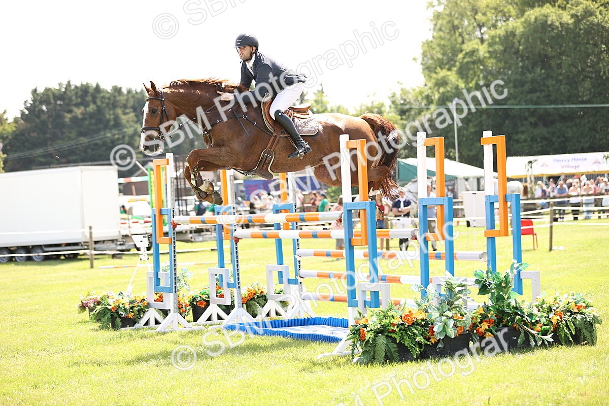 SBM_03297 - Class 201 - British Horse Feedds Speedi Beet HOYS Grade C