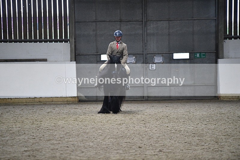WJ5_8641 - Class 14 Novice Ridden/Rider