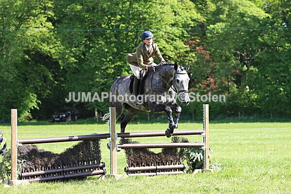 IMG_4871 - Working Hunter