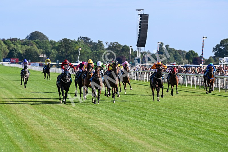 240726-Race 2-Vaguely Royal-5068 - Race 2 18.05pm Elevator Company Handicap