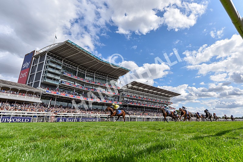 220826-Race 2-Infraad-5956 - Race 2 14.25pm Sky Bet Melrose Handicap
