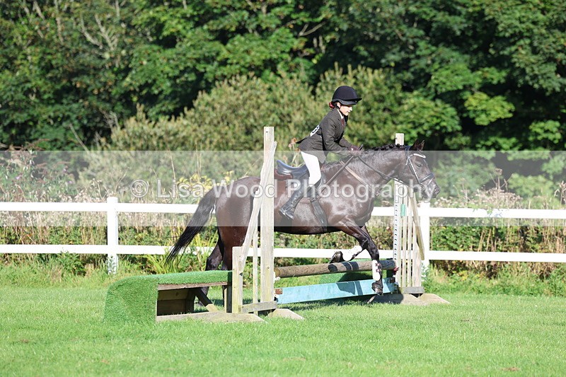 3E7A7483 - Class 1: Novice Working Hunter Pony