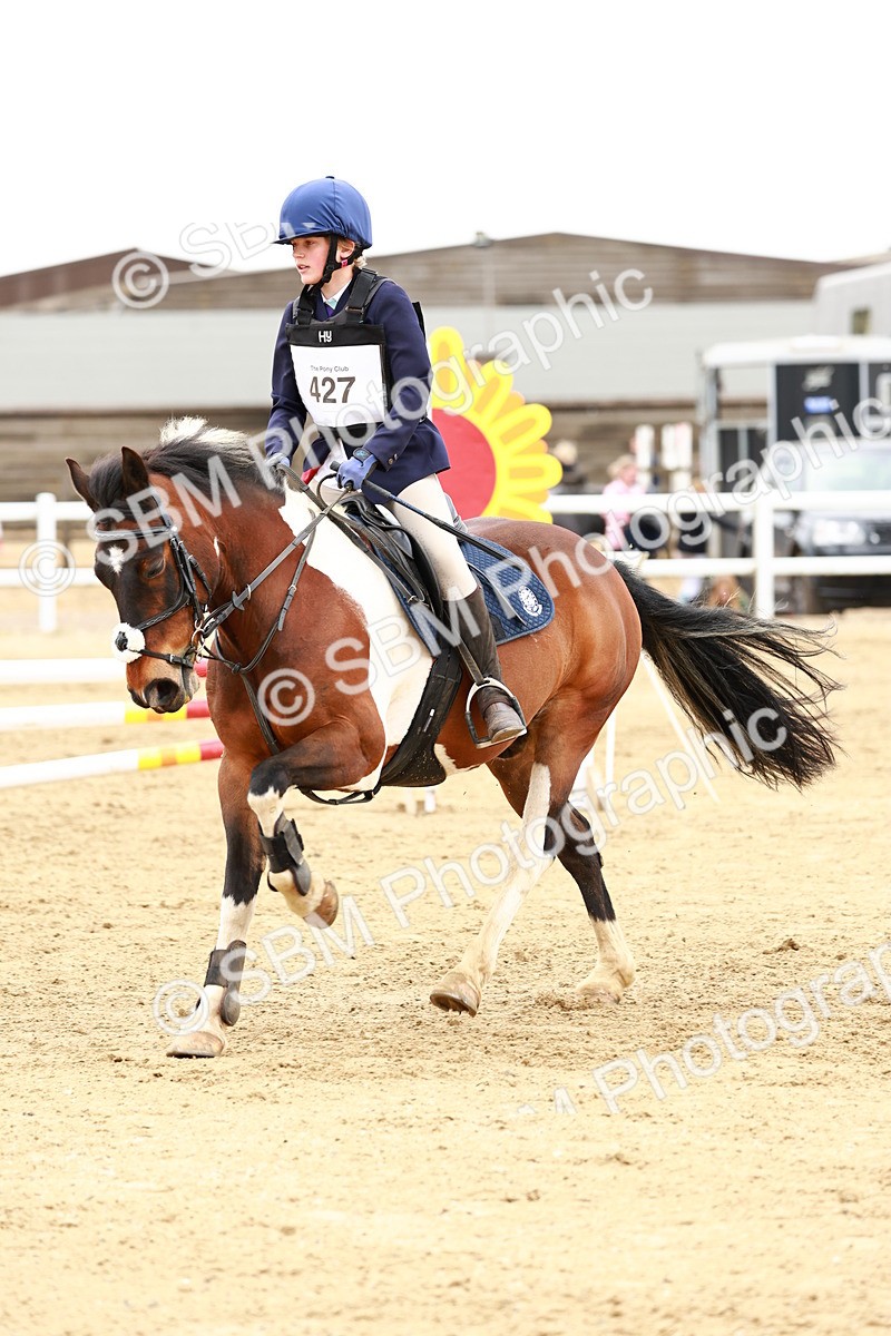 SBM_008381 - Class 4 - 70cm