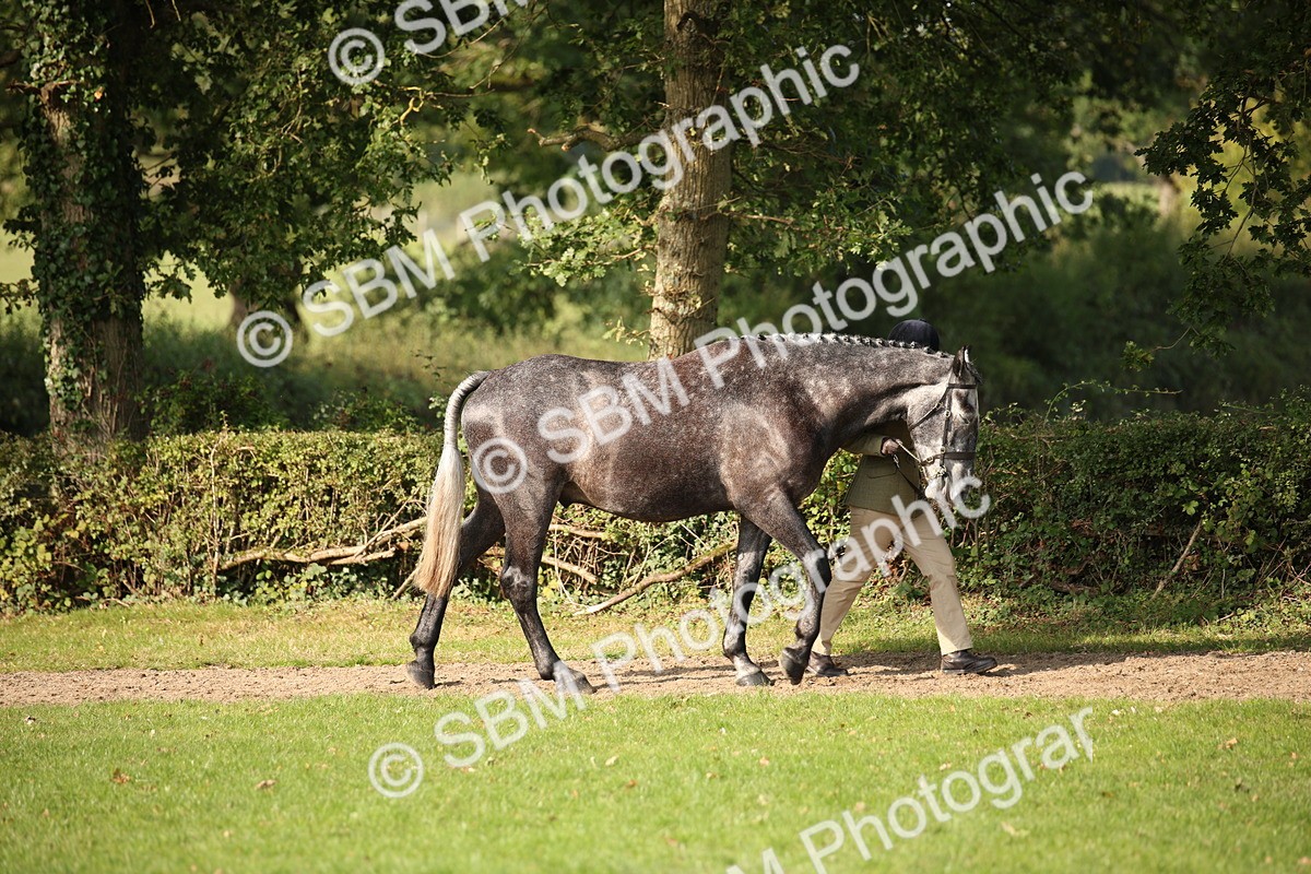 SBM_60048 - S53 - Hunter In Hand