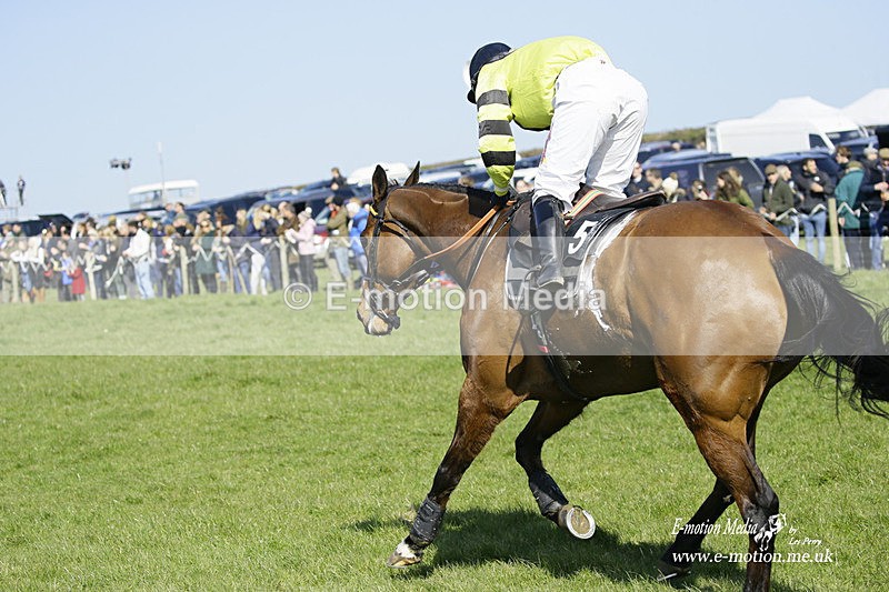 PtP 190322 405 - Wilton Hunt PtP Milborne St Andrew 19/03/22