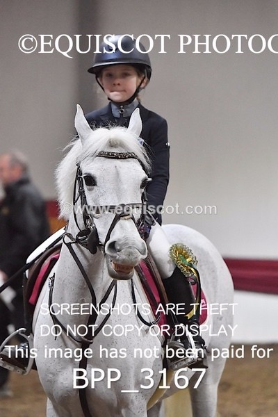 BPP_3167 - CLASS 6 BS PONY Springboard 128cm/ 138cm Restricted Handicap