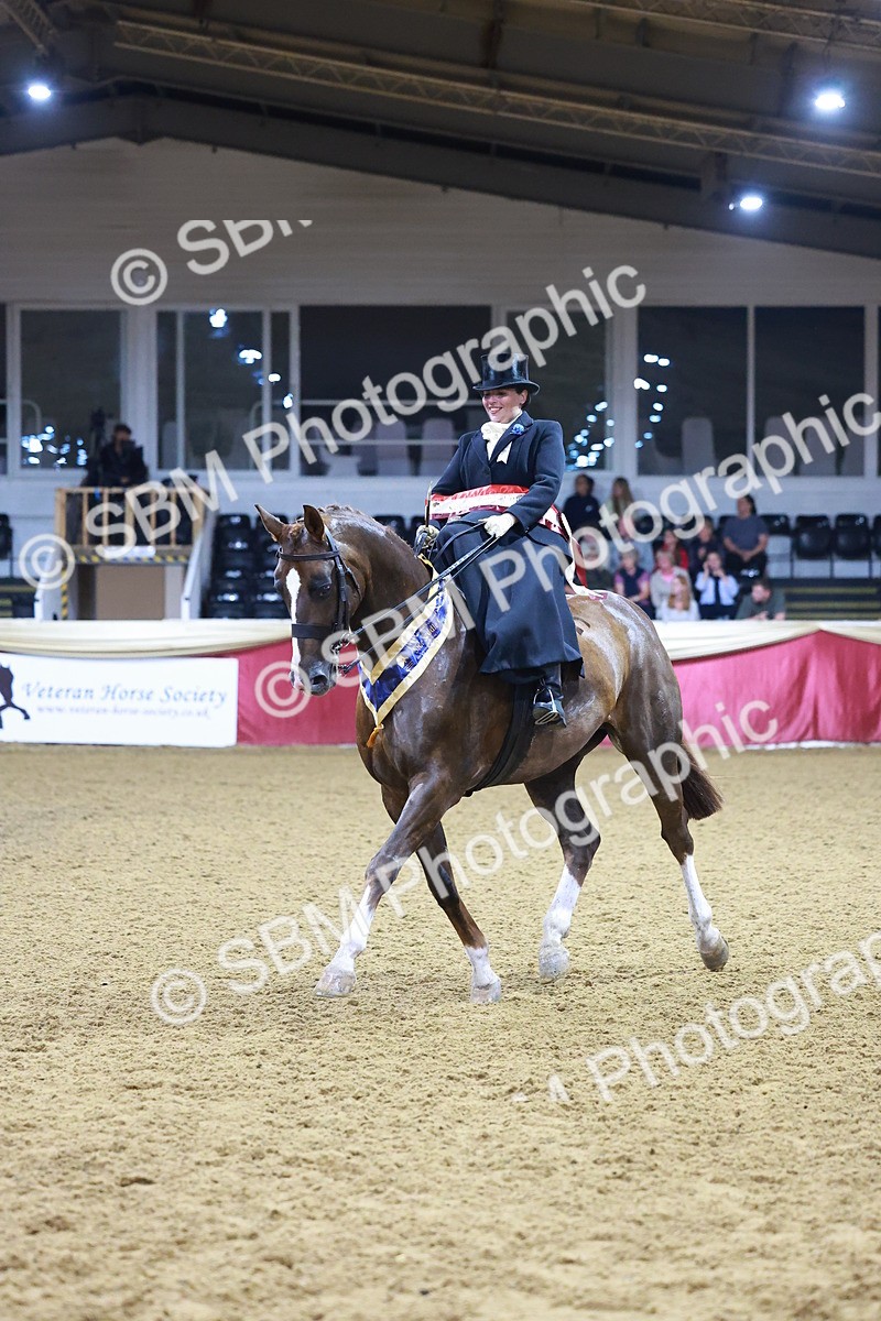 SBM_15053 - Class N - Side Saddle Champ