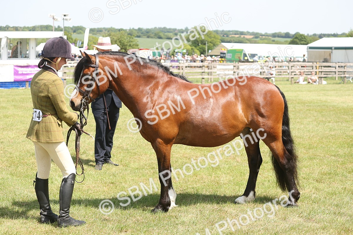 SBM_06980 - Class 26-30 - Mountain and Moorland Ridden