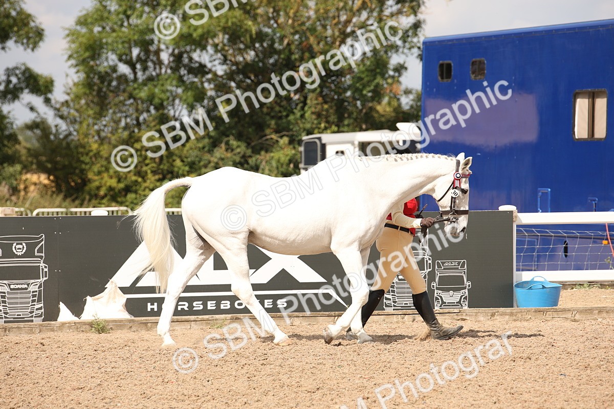 SBM_03742 - Class 19 Judge's Favourite