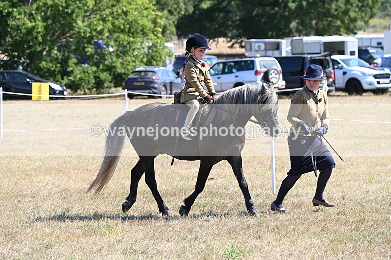 WJ6_7782 - Class 36 Lead Rein