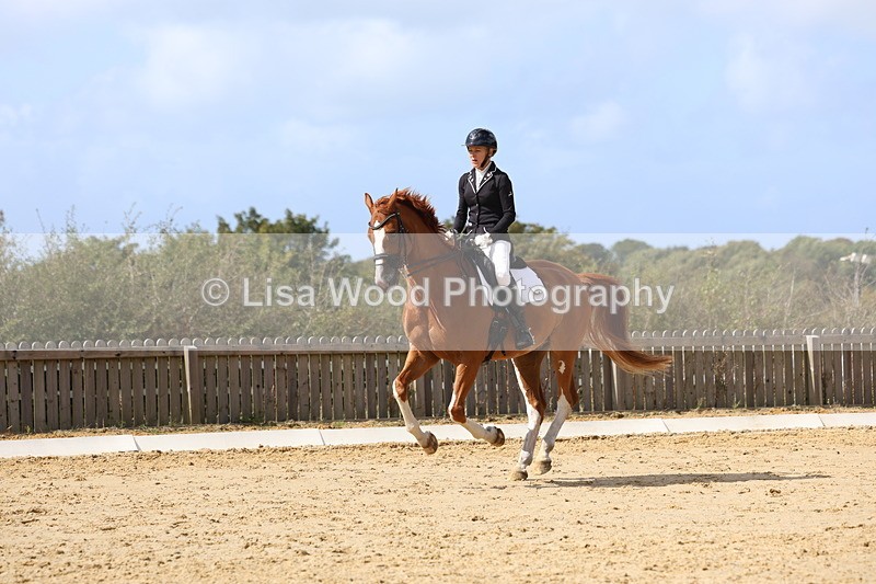 3E7A4827 - Class 11: Elementary Music