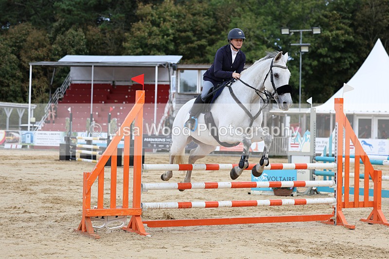 3E7A2214 - Class 4: Senior British Novice/90cm open