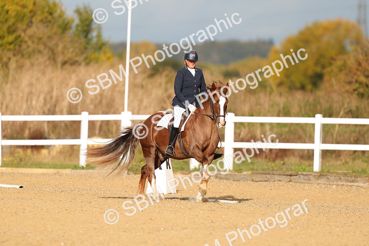 SBM_009296 - Class 1 - P4