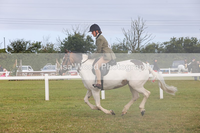 1X9A3058 - Class 26: Ridden Plaited Coloured Pony