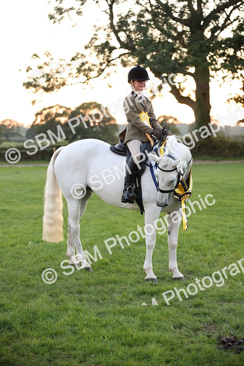 SBM_57116 - Super Supreme Championship