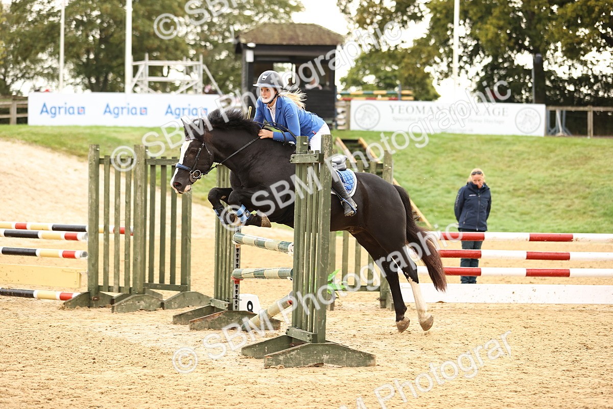 SBM_58268 - J41 - Grand Tour Horse & Pony 95cm