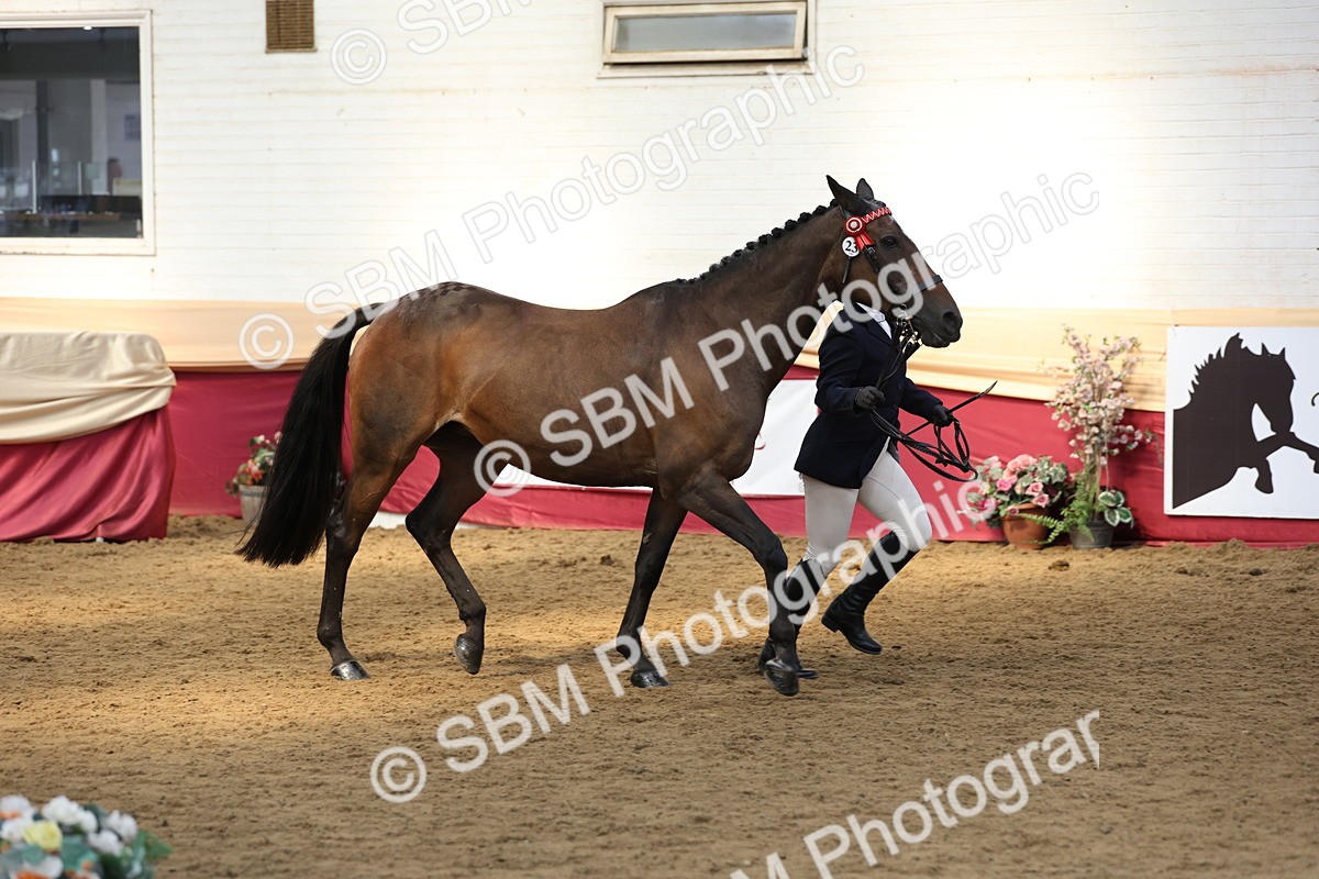 SBM_24132 - Class 905 - Supreme Final - Ridden Veteran