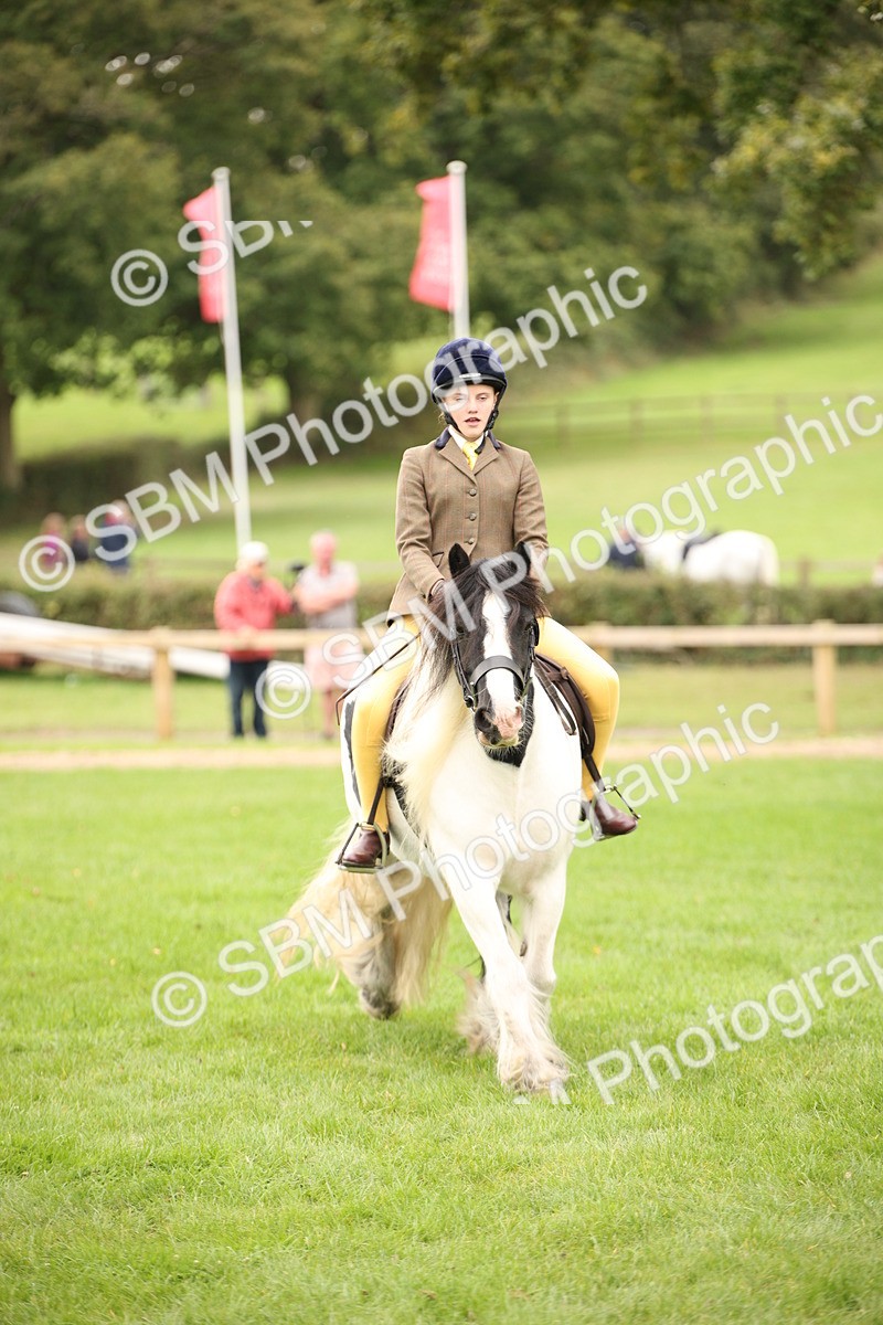 SBM_73544 - S68 - Traditional Cob Ridden