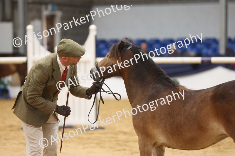 20260913-1290 - Class 113 - Yearling