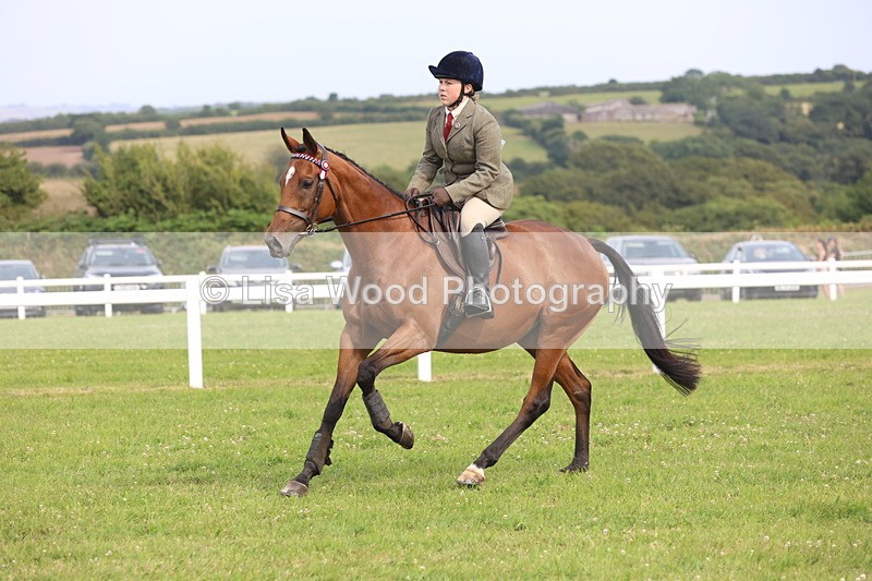 JPP_4200 - Class 25: Working Show Horse
