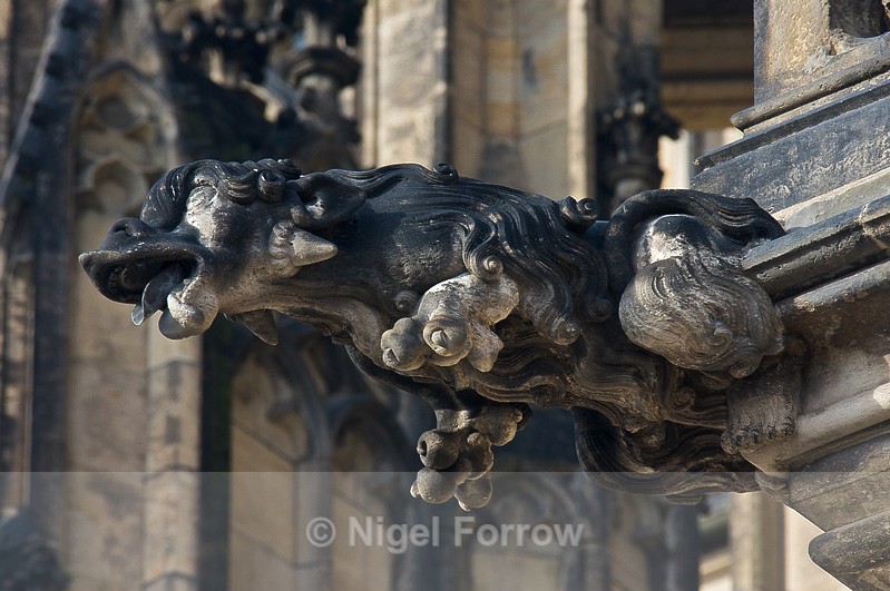 Gargoyle, St. Vitus's Cathedral, Prague - Prague, Czech Republic