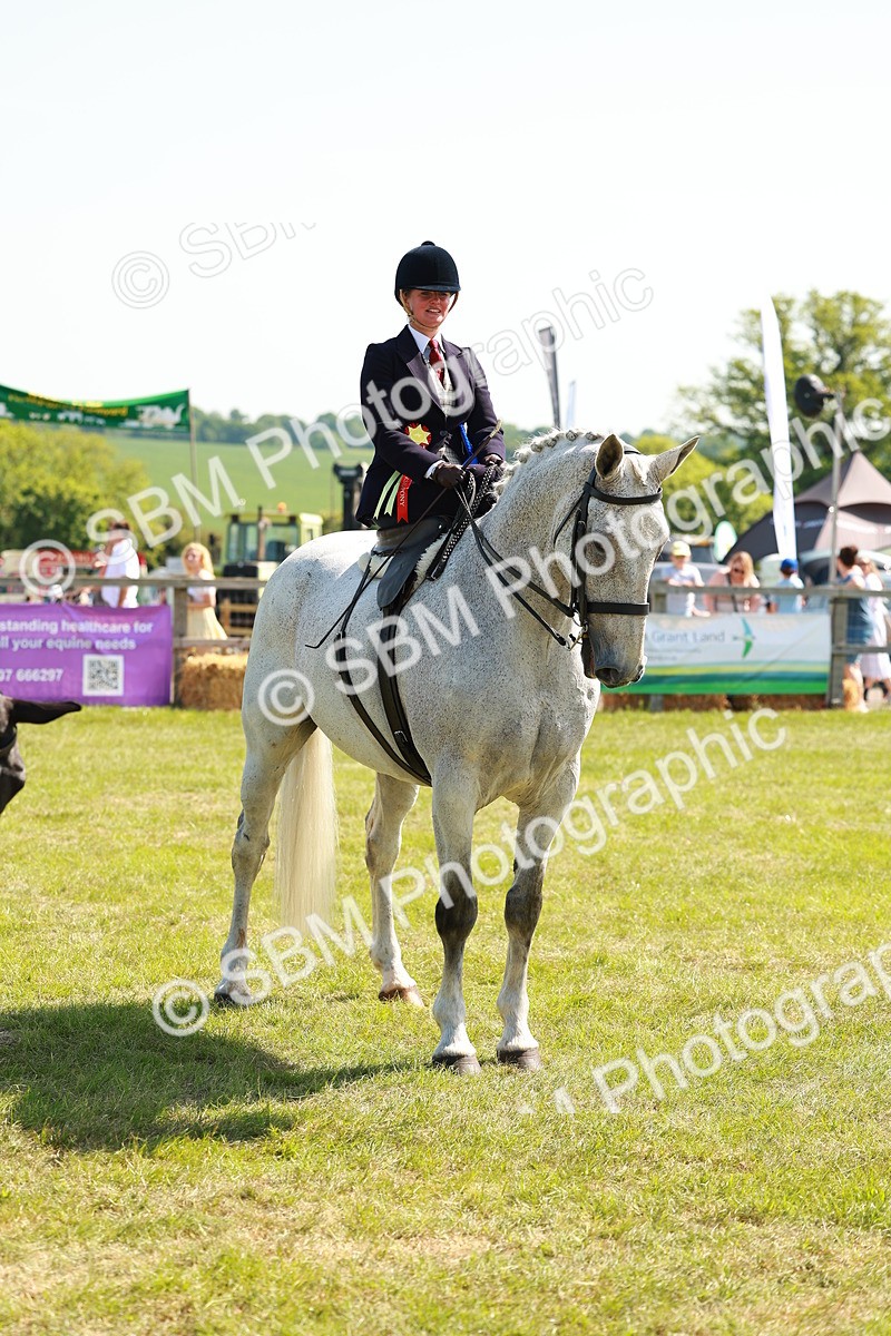 SBM_13406 - Class 70-71 - Side Saddle