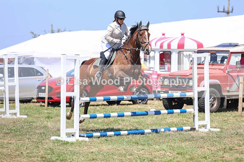 3E7A4342 - Class 10: Senior British Novice/90cm open