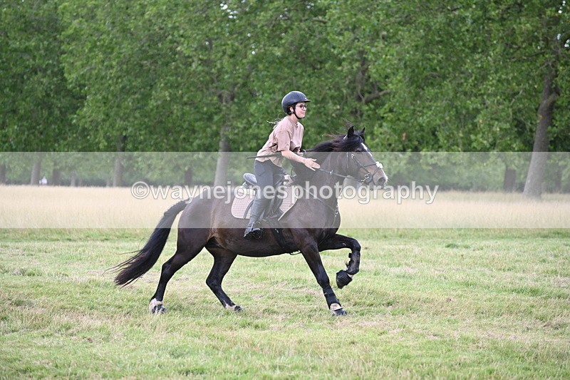 WJ6_4920 - Time at Jump 13:04 to 13:34