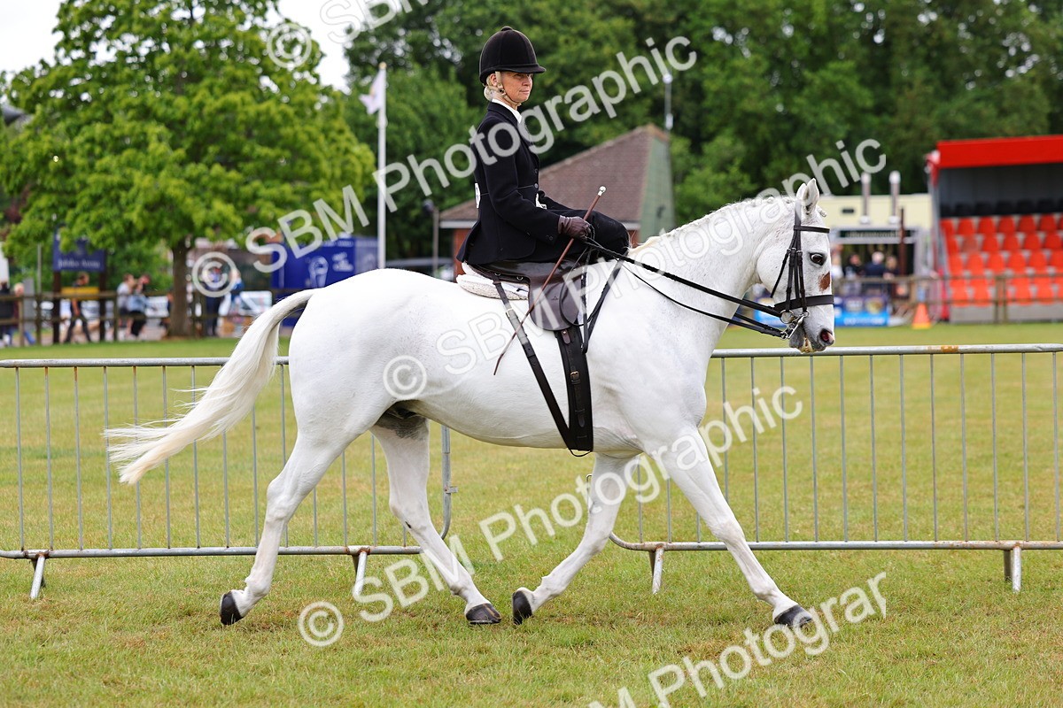 SBM_02704 - Class 9-11 Side Saddle including LIHS Rising Star Ladies Show Horse