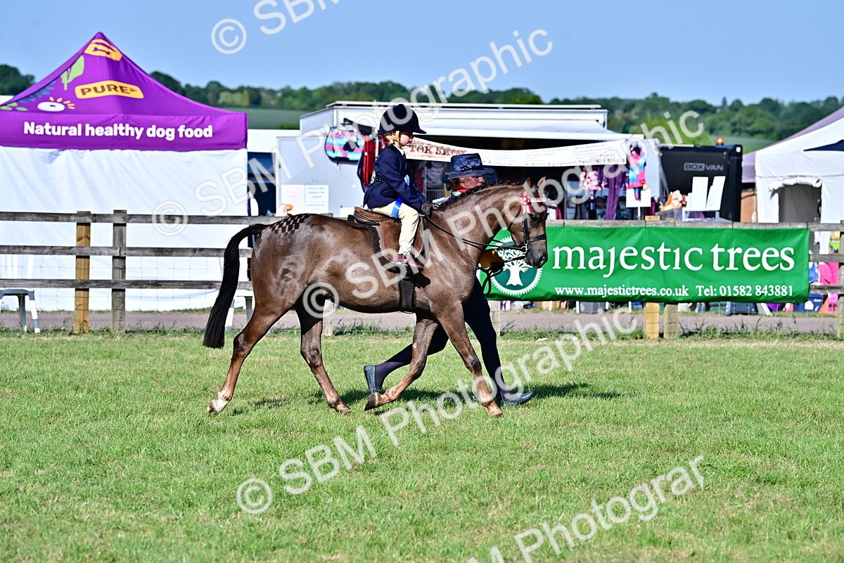 SBM_19838 - Class 103 - 105 - TSR Ridden Amateur of the Year Plaited Ponies