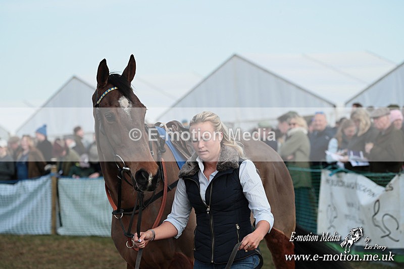 PtP 010325 545 - Beaufort Races Didmarton 01/03/25
