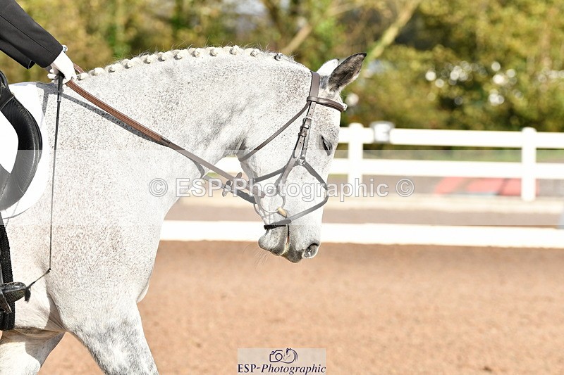 231104A-105331-00166 - Cls 4 Novice 22