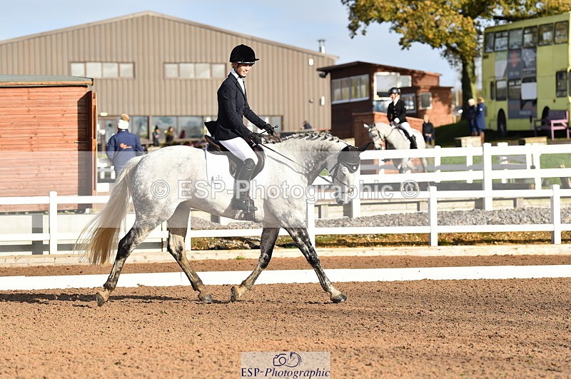 231104A-103902-01408 - Cls 2 Prelim 19