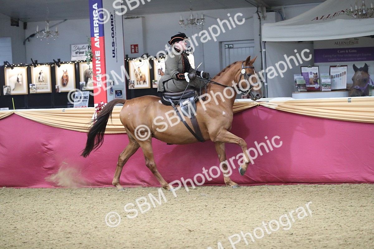 SBM_11547 - Class 105 Ridden Costume- Side Saddle