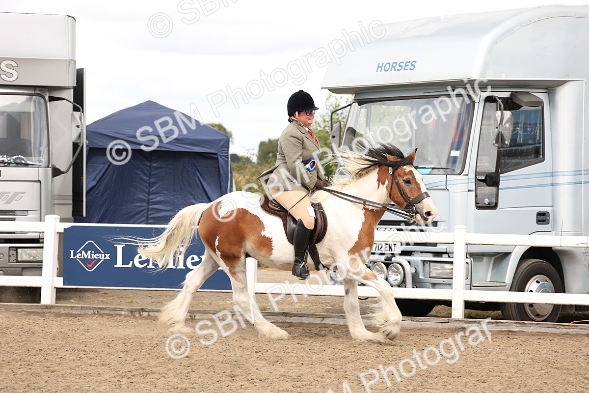 SBM_05245 - Class 56b -  Style & Performance - 50cm (20+)