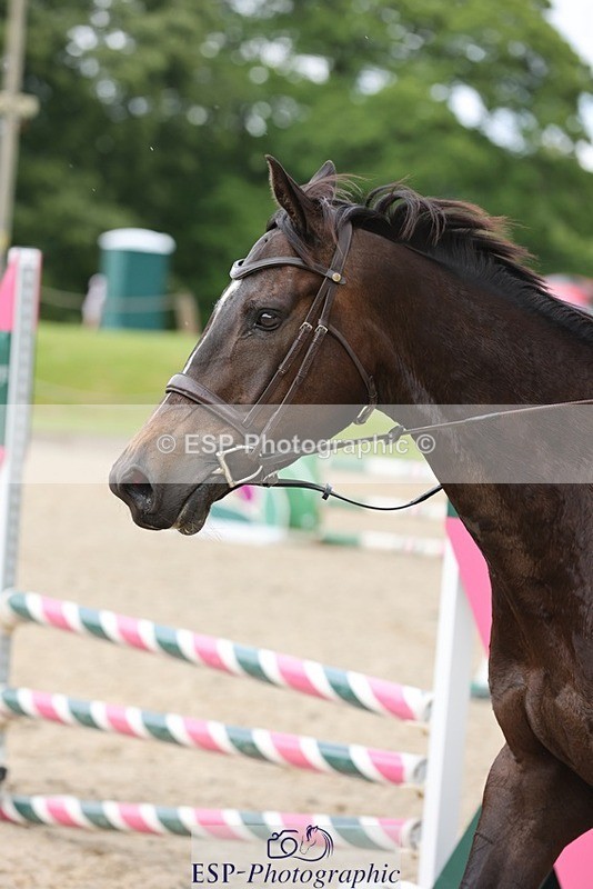 240616-121325-03706 - 70cm Start to 12.30