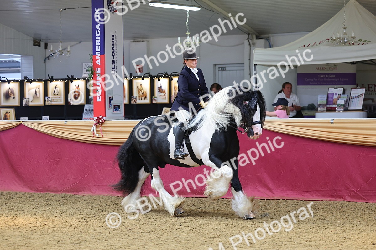 SBM_24059 - Class 905 - Supreme Final - Ridden Veteran
