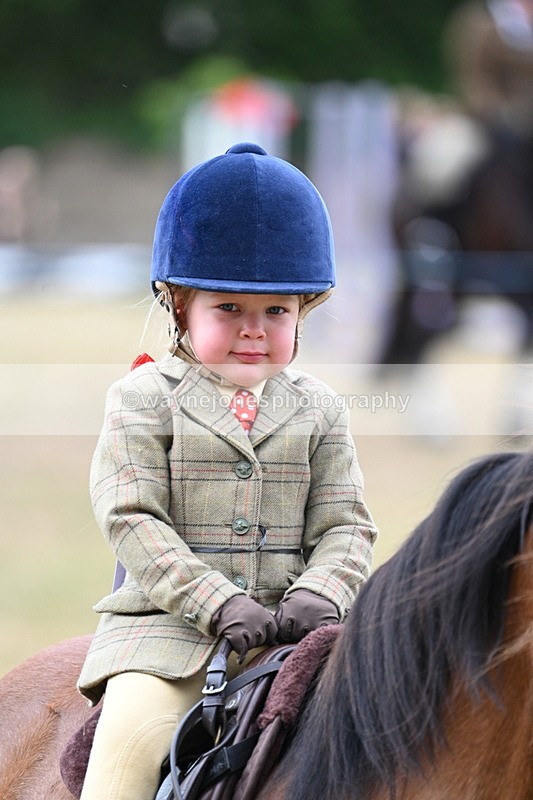 WJ7_9537 - Class 1 Lead Rein Pony