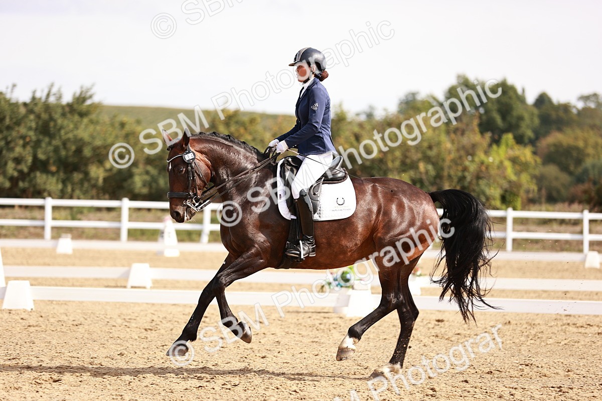 SBM_017578 - Class 11 - Advanced Medium 6