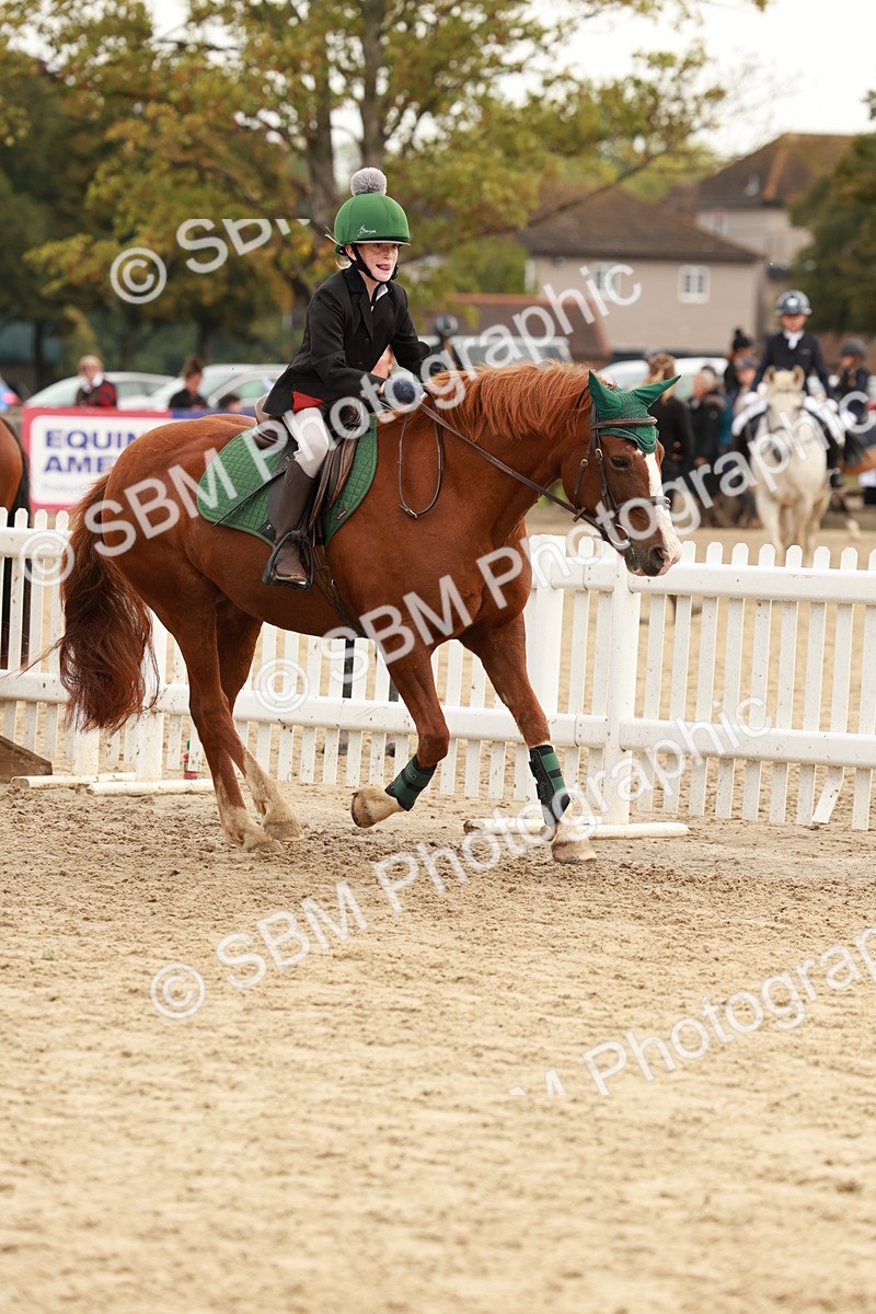 SBM_57654 - J11 - Junior Pony 50cm Championship