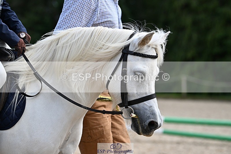 230824-144744-04369 - Round 1 Lead Rein 14.00 to End