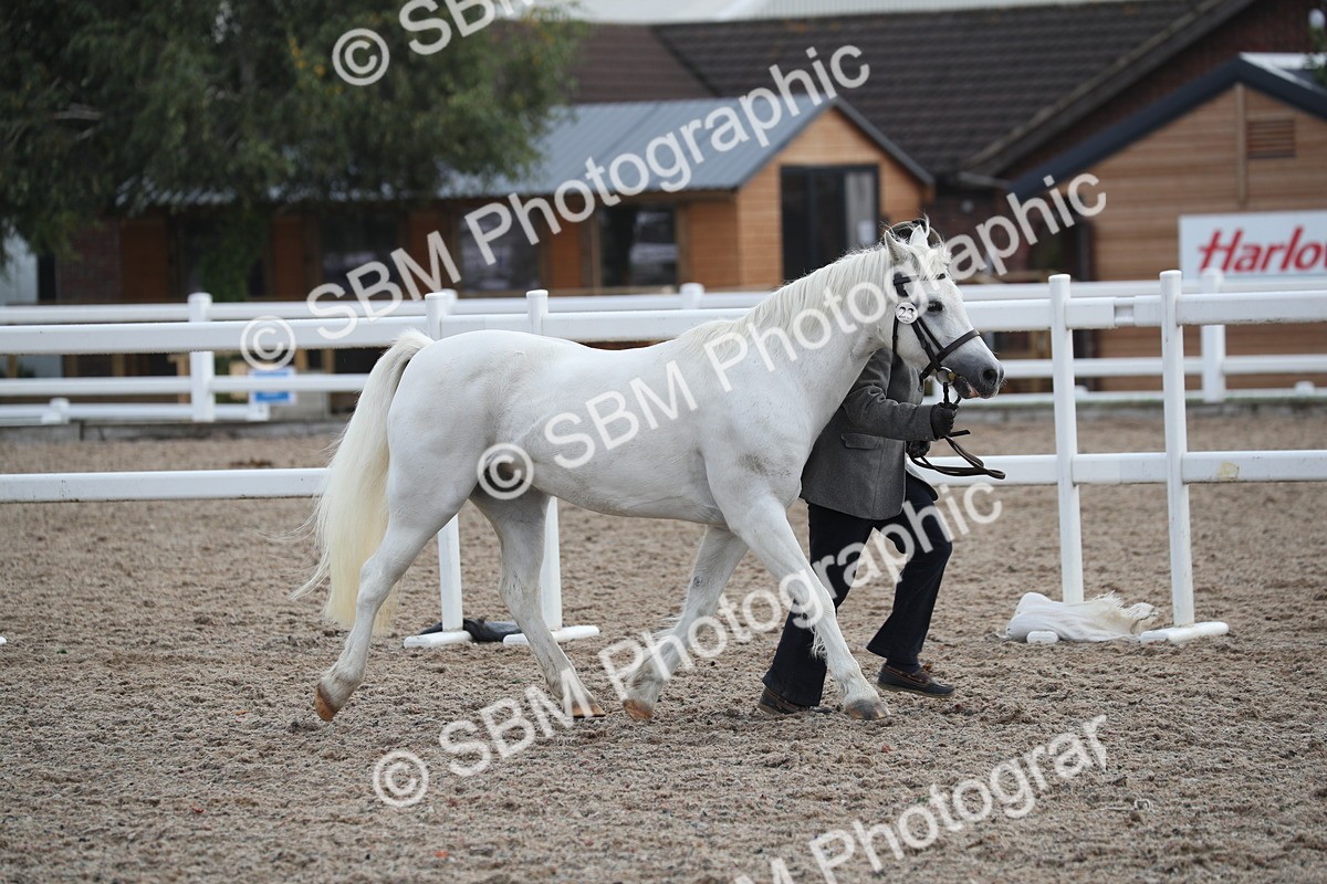 SBM_23105 - Class 605 - 2025 Area - IH Veteran